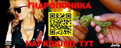твердый Лесосибирск