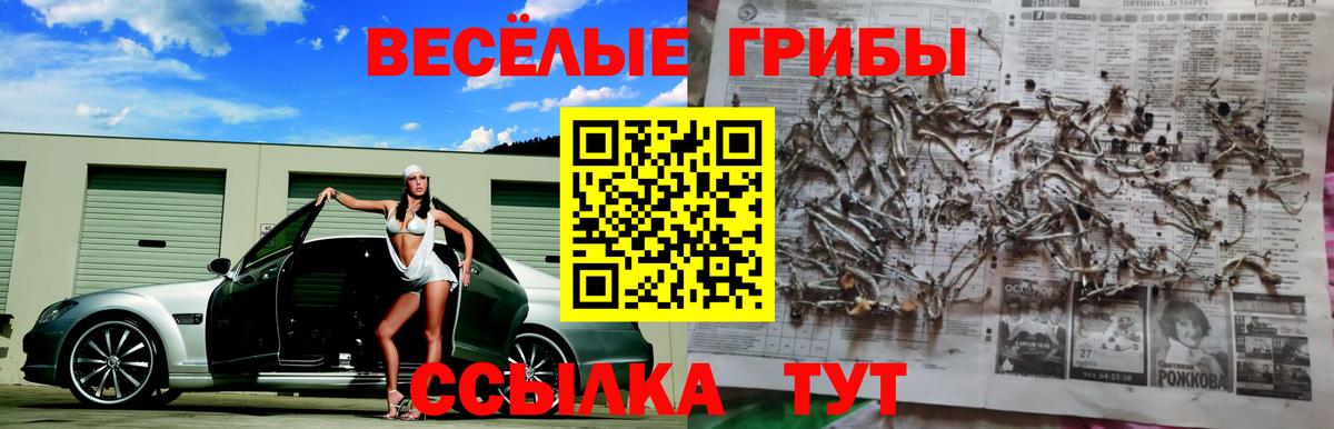 Гусиноозёрск  Галлюциногенные грибы мицелий  Вход с VPN 